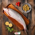 ماهی شوریده