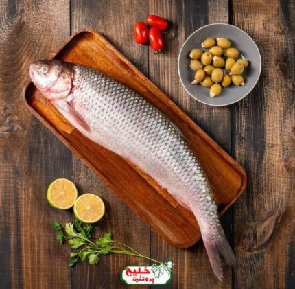 ماهی شوریده